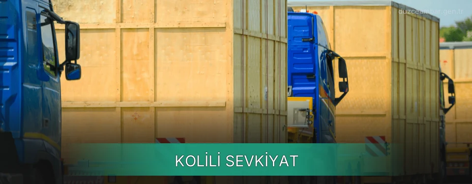 Düzce Kolili Sevkiyat Ambar Firmaları