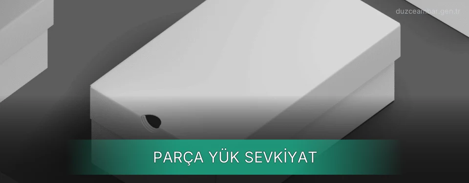 Düzce Parça Yük Ambar Firmaları