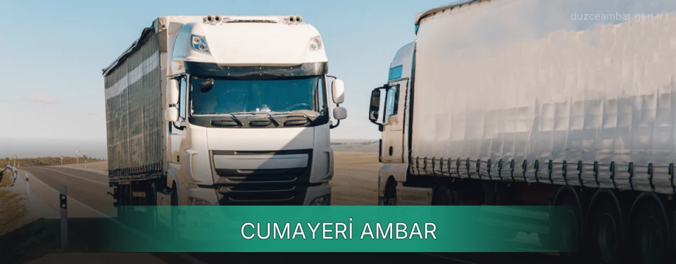 Cumayeri Ambar